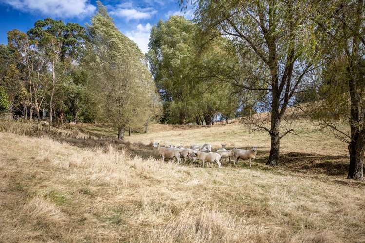 97C Ireland Road Waipawa_7