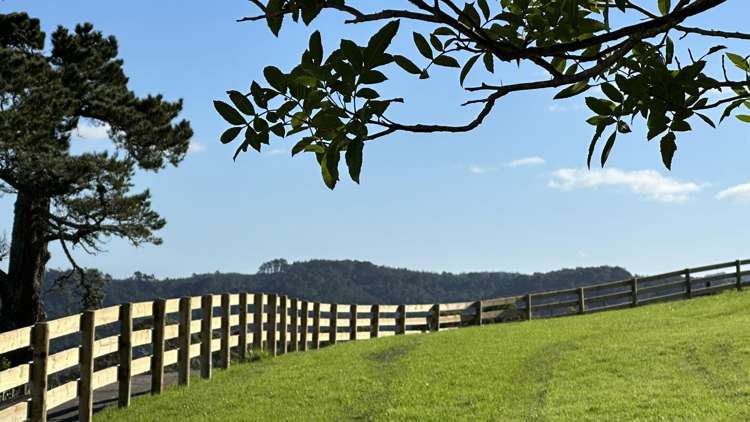 Ridge Road_3
