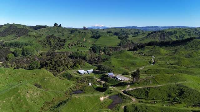 'Biggin Hill' and 'Sigsas' - two separate farms