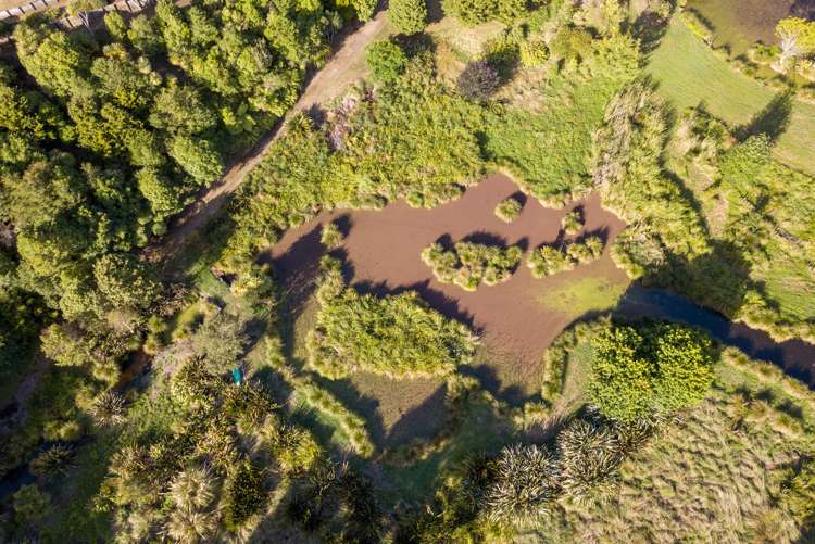 184c Taylors Road Otaki_24