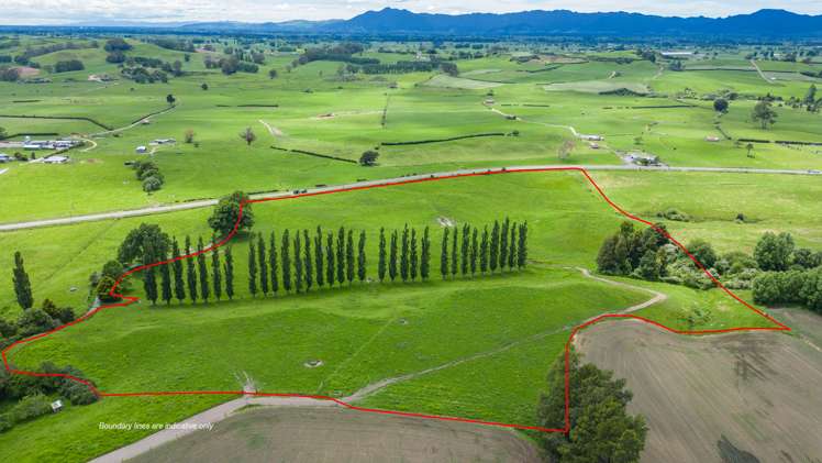 1768 Morrinsville Walton Road_5