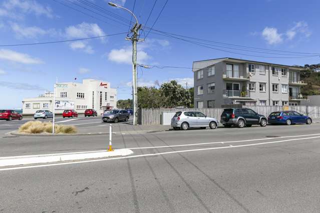 1/102 Lyall Parade Lyall Bay_1