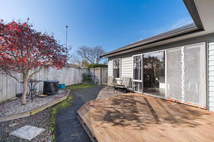 2 Cardiff Street Awapuni_12