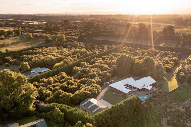 139 Hereford Road Oropi_18