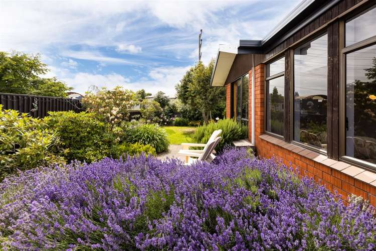 17 Murphys Road Springlands_22