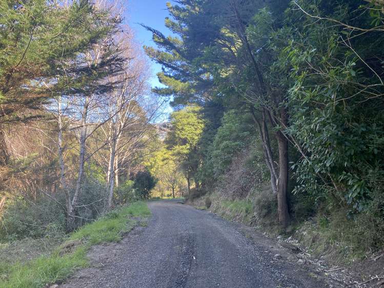 154 Usshers Road Little River_18