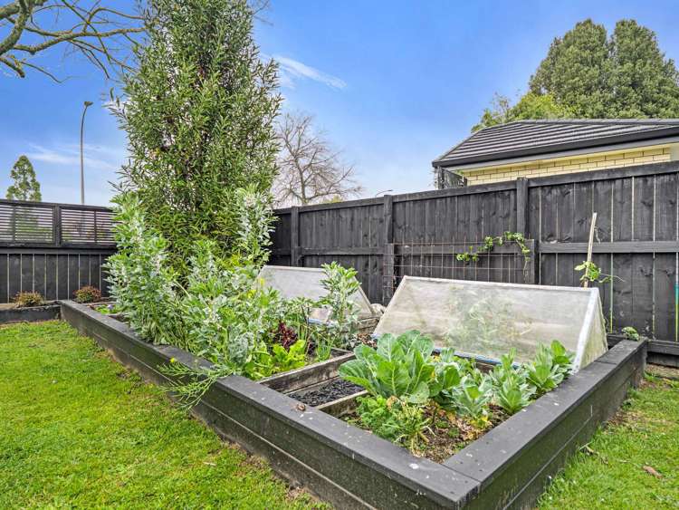 125 Holland Road Fairfield_18