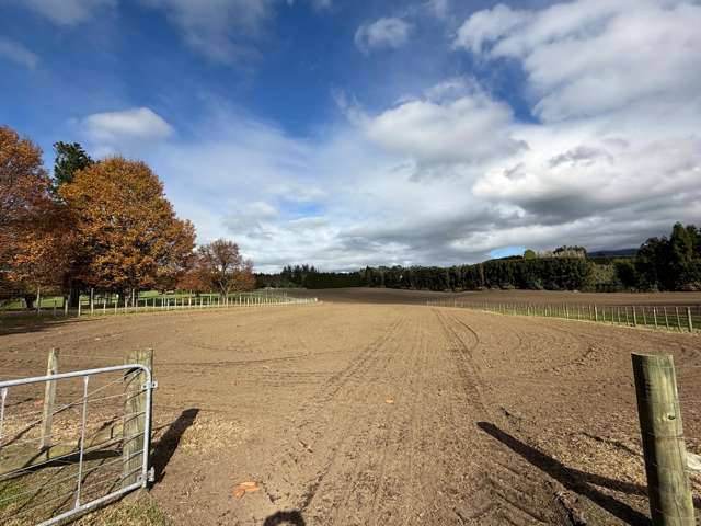58 Rawaka Drive Katikati_3
