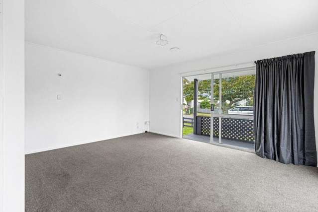 9 Guy Avenue Levin_4