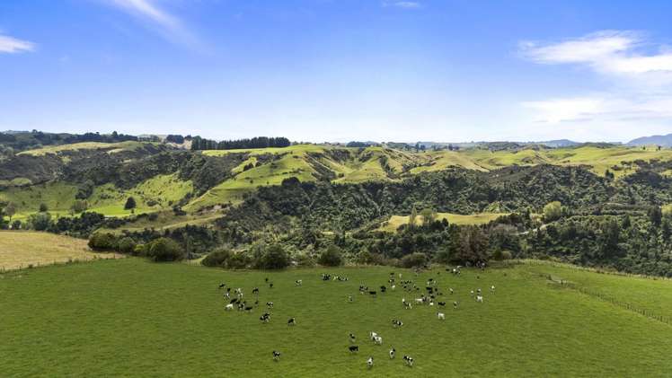 1 Takapari Road Pohangina_12