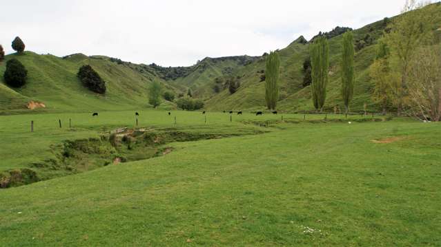 450 Ramaroa Road Aria_4