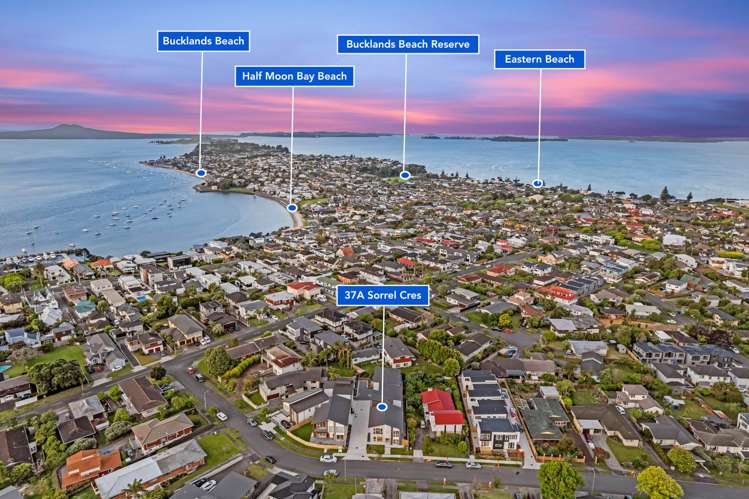37A Sorrel Crescent Bucklands Beach_8