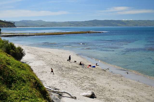 Lot 2 DP 389784, Lane/Parakiwai Road Mahia Peninsula_4