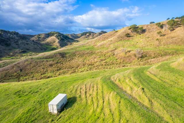 Kawhia Road (SH 31) Kawhia_4