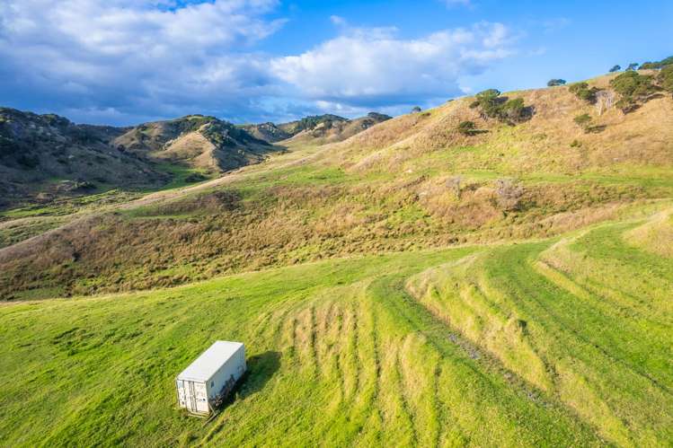 Kawhia Road (SH 31) Kawhia_4