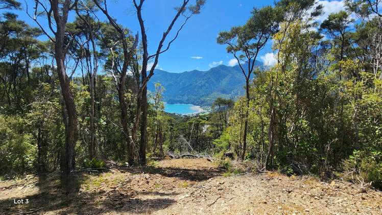 Kanuka Summits Okiwi Bay_4