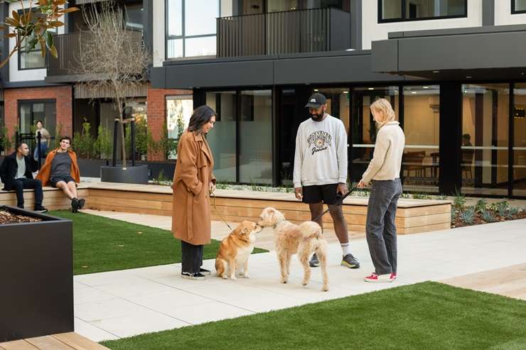 The new Resido apartment complex - three blocks of 295-unit apartments next to Auckland's Sylvia Park - is promoting itself as a pet-friendly development. Right, is one of the new residents, Lily. Photo / Jason Oxenham, Supplied