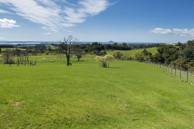 649b Esdaile Road Whakamarama_3