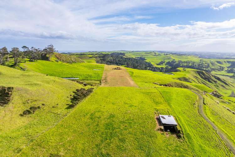 Pinaki Road Dargaville_13