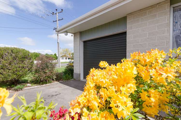 27 Oak Street Masterton_14