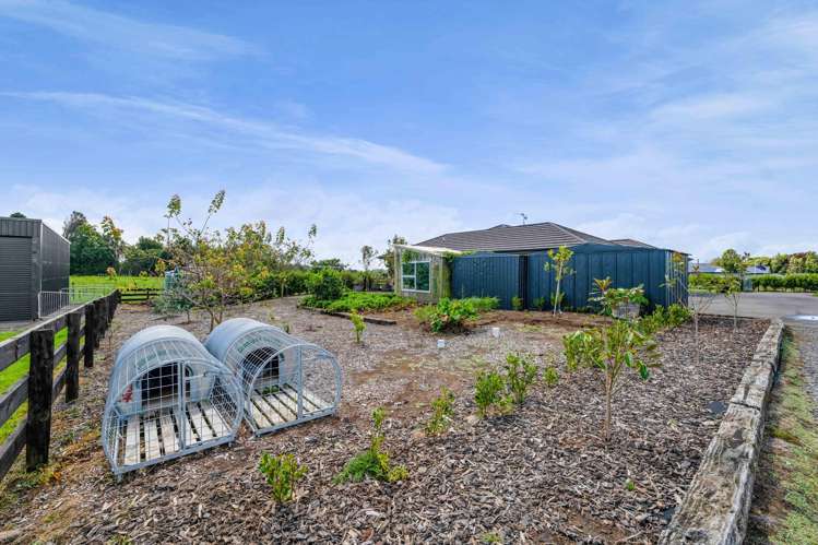 225 Norfolk Road Norfolk_28