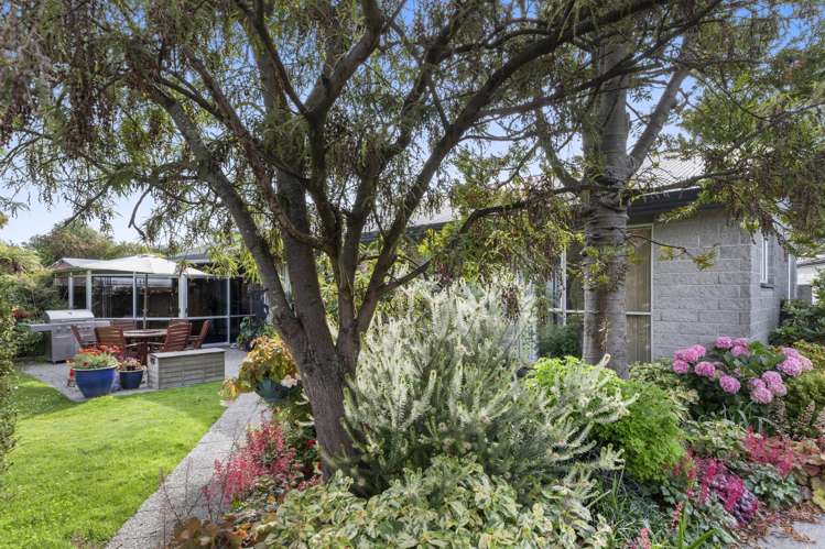 6 Te One Place Redwood_1