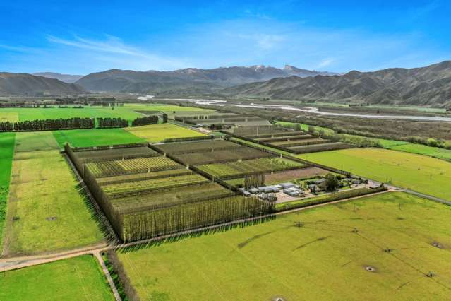 Premium Waitaki Orchard