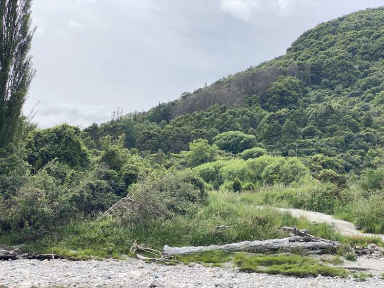 Upper Buller Gorge Road, Inangahua Reefton_18