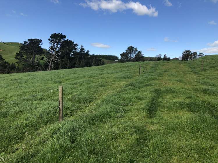 428 Whatauri Road Wharepapa South_16