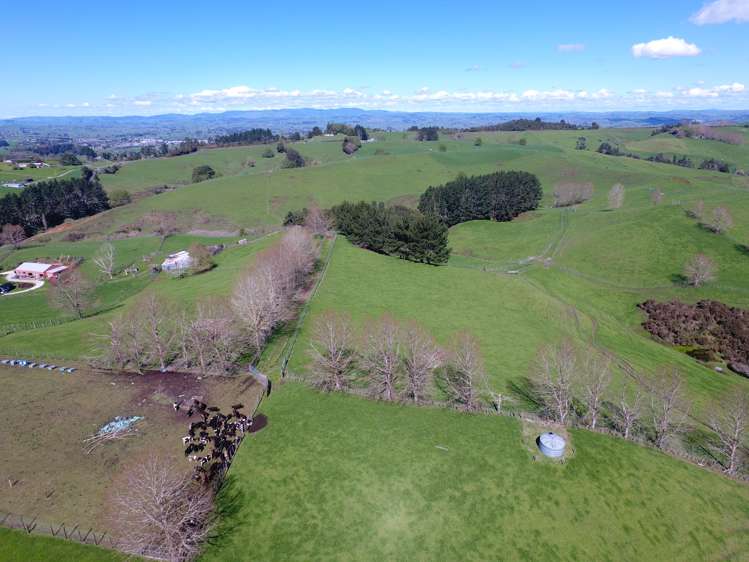 481 Honikiwi Road RD3 Otorohanga_26