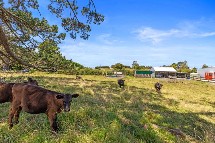 690 Esdaile Road Whakamarama_27