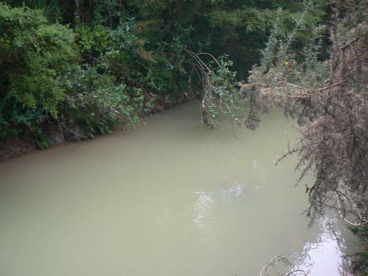 6084 Mangakahia Road Tautoro Far North Rural Property For Sale