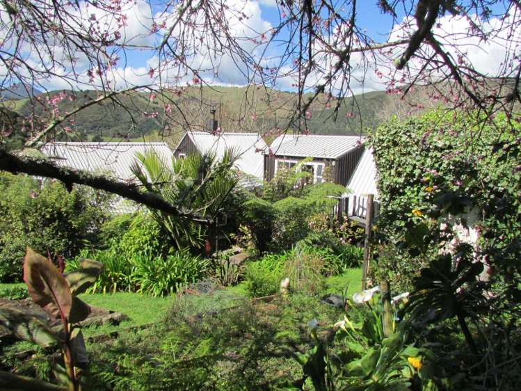 589 Kauaeranga Valley Road Thames_20