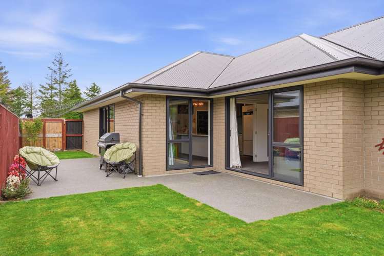 16 Pallid Green Rolleston_14