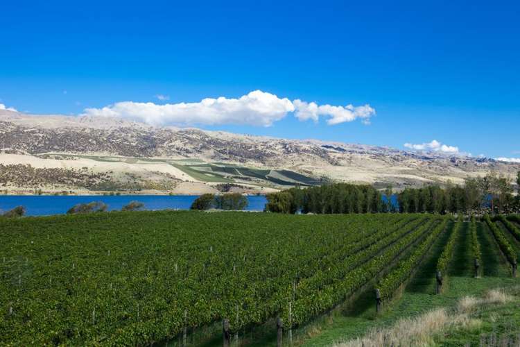 96 Smiths Way Cromwell_25