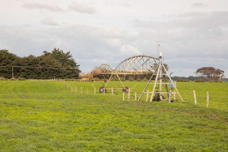 287 State Highway 1 Bulls_10