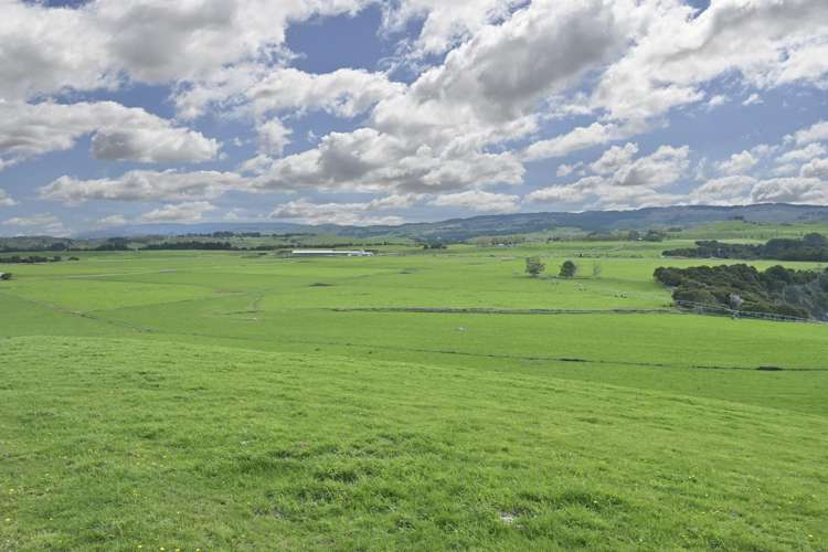 500 Willowford Road Waiwhare_30