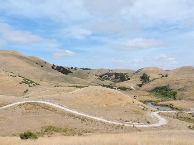 694 Farm Road Hawkes Bay_1