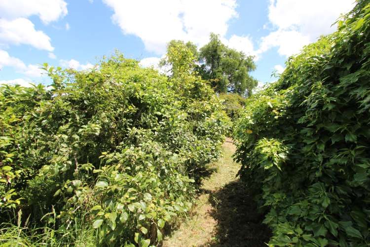 79 Thompsons Road Pahiatua_10