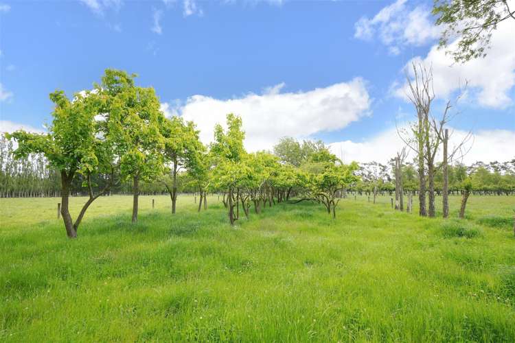 420a Woodfields Road Swannanoa_9