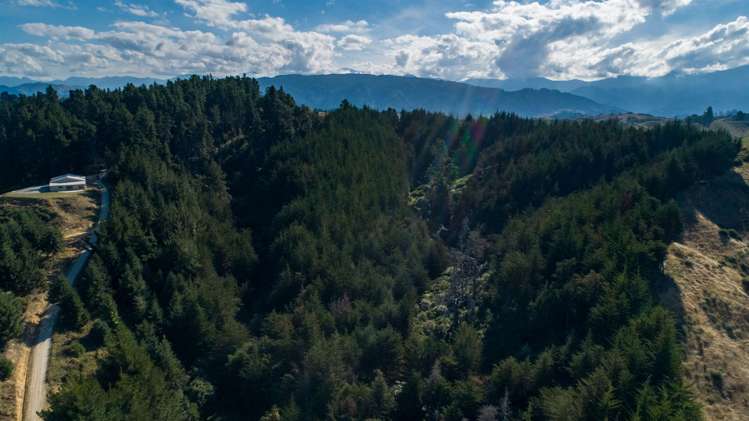 202 Rose Road Upper Moutere_11