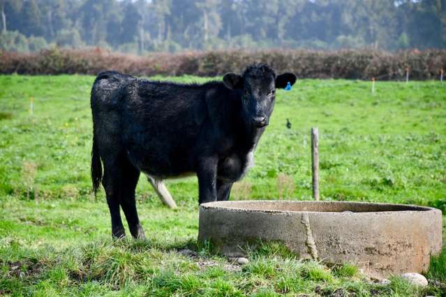 106 Granite Creek Road Karamea_1