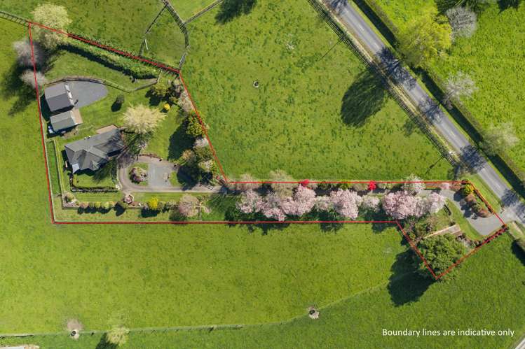 128 Matai Road Matamata_20