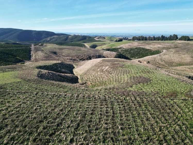Lot 2/339 Rankleburn Road Rankleburn_7