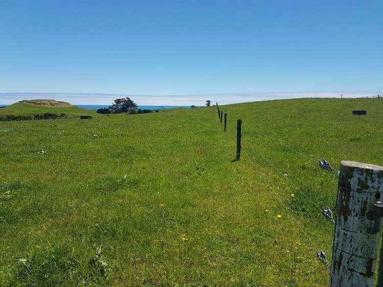 80 Koru Road Omata_22