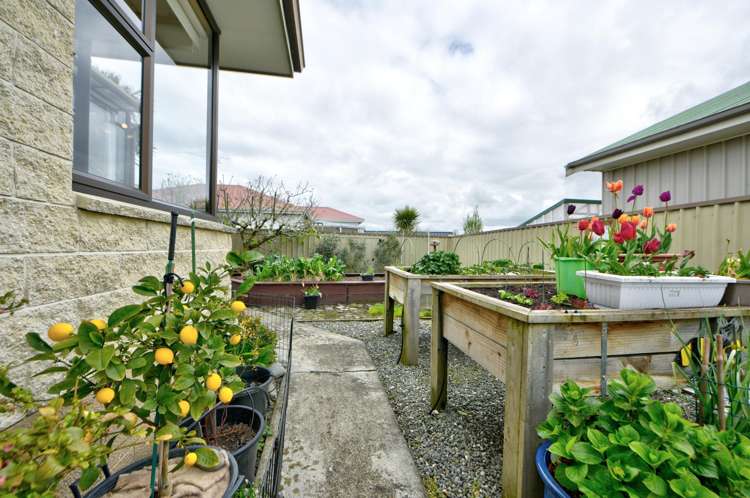 19 Nelson Street Gore Surrounds_27