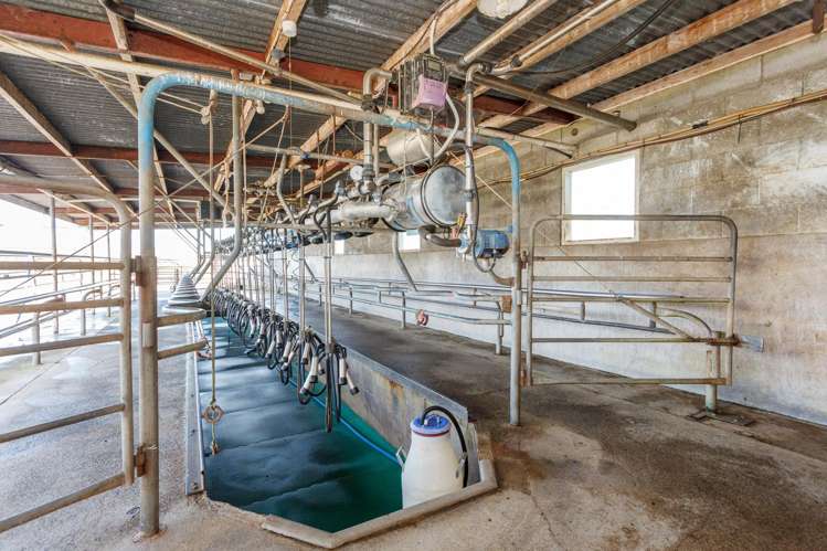 1 Gunn Road Matamata_6