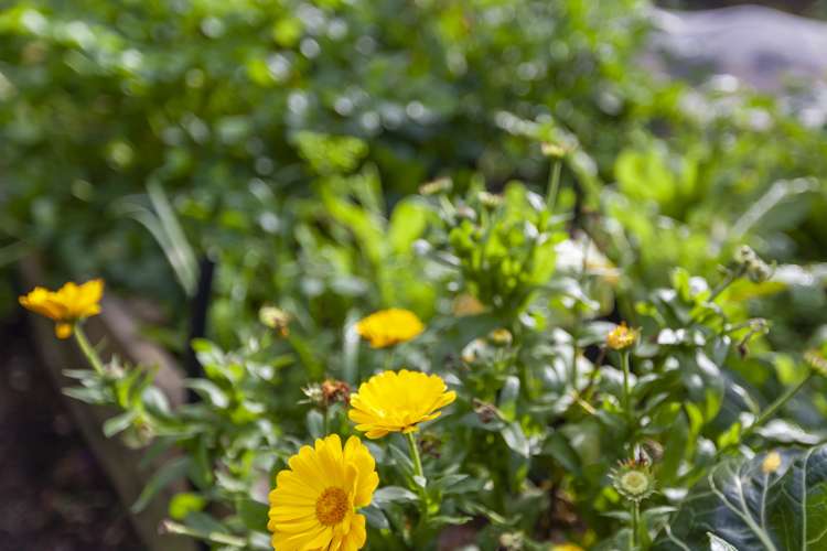 15 Tiromoana Road Raumati South_23