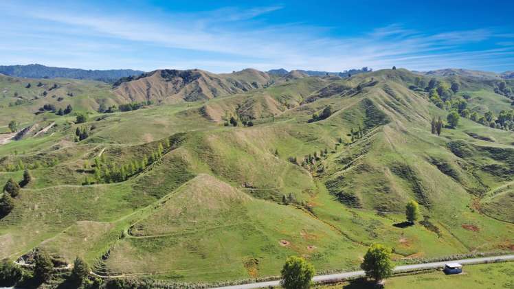 73 Rimu Road Ohura_4