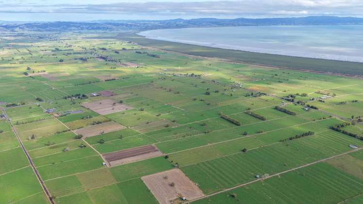 1338 State Highway 25 Pipiroa_1